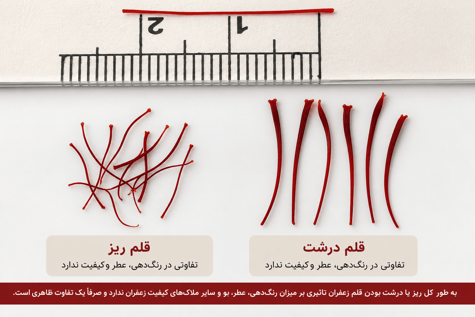 آیا ریز و درشت بودن قلم زعفران بر کیفیت آن تأثیر دارد یا فقط تفاوت ظاهری است؟ | بررسی کامل کیفیت، رنگ‌دهی و ارزش خرید