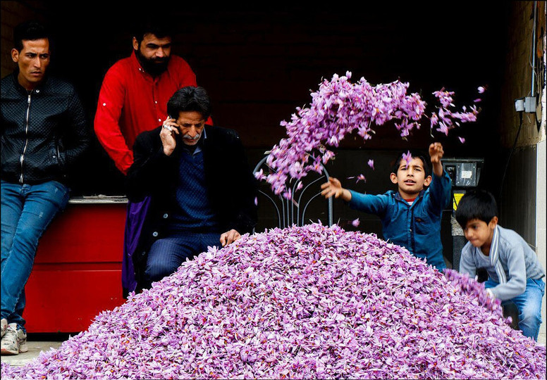 بهترین زمان خرید زعفران