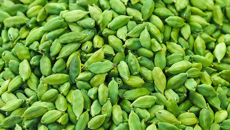 نمایندگی هل اکبر تهران